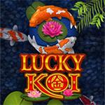 Lucky Koi MG