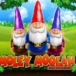 Moley Moolah