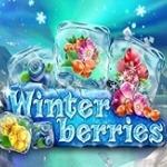 Winterberries